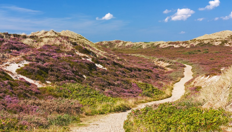 Individuelle Urlaubserinnerungen von lokalen Künstlern sind ein Highlight des Urlaubs. ( Foto: Shutterstock-Thorsten Schier )